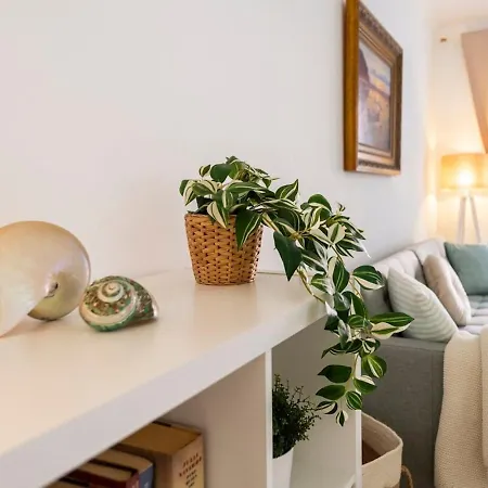 Casita Caracol - Peace And Quiet *
